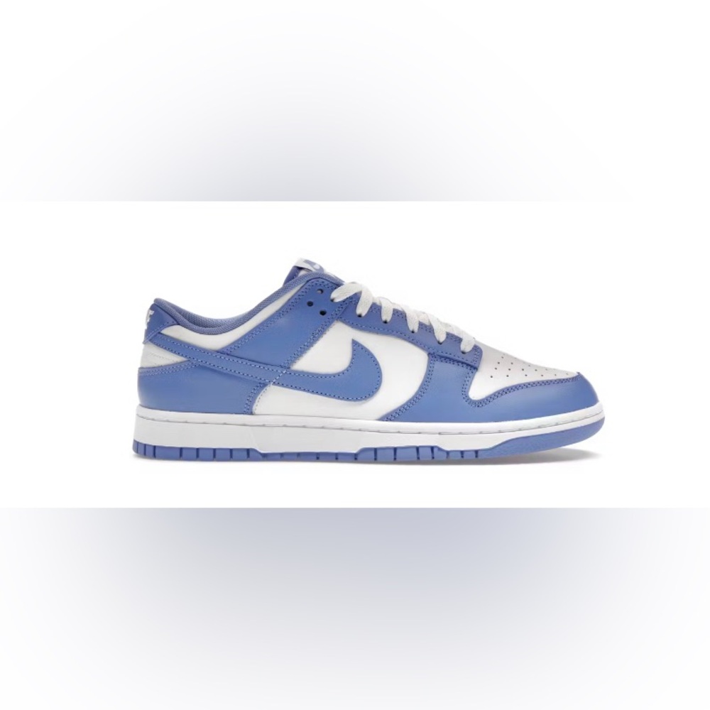 Nike Sky Blue and White dunk Low-Top Sneakers